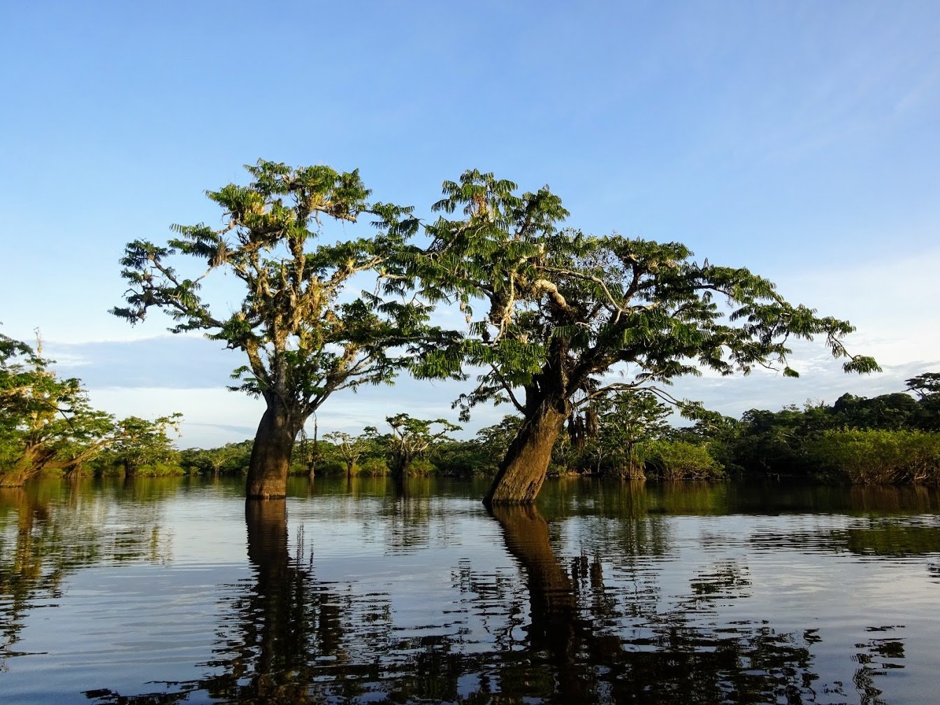 Cuyabeno Wildlife Reserve, Ecuador