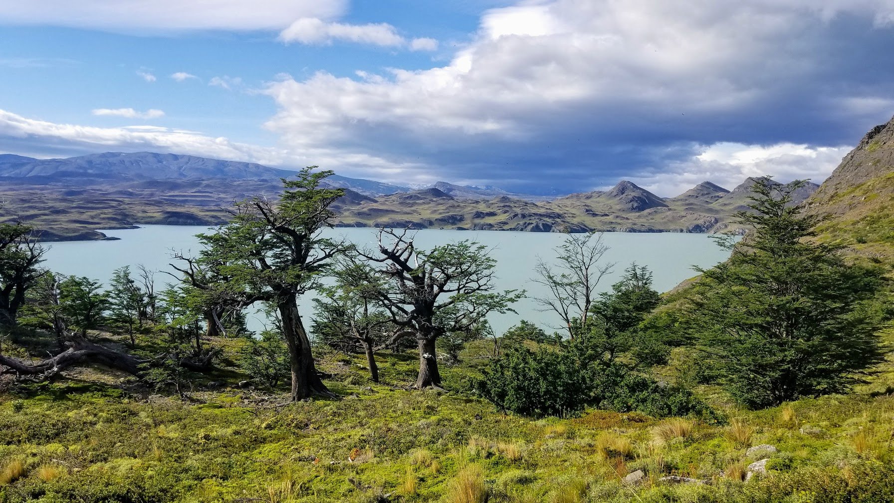 Torres del Paine NP, Chile