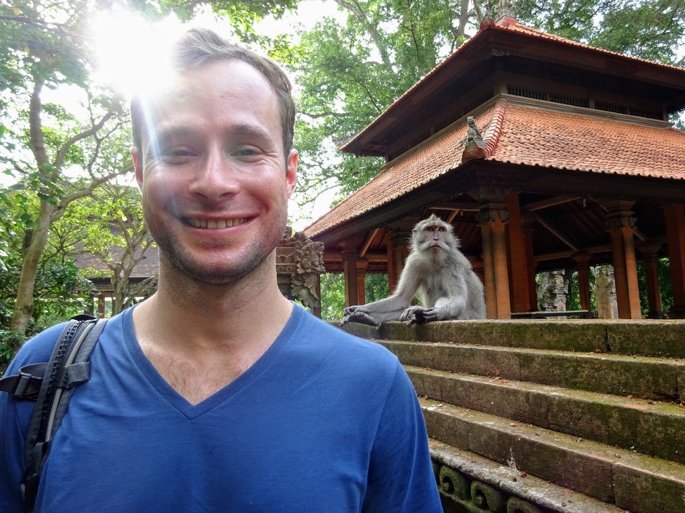 Monkey forest, Bali, Indonesia