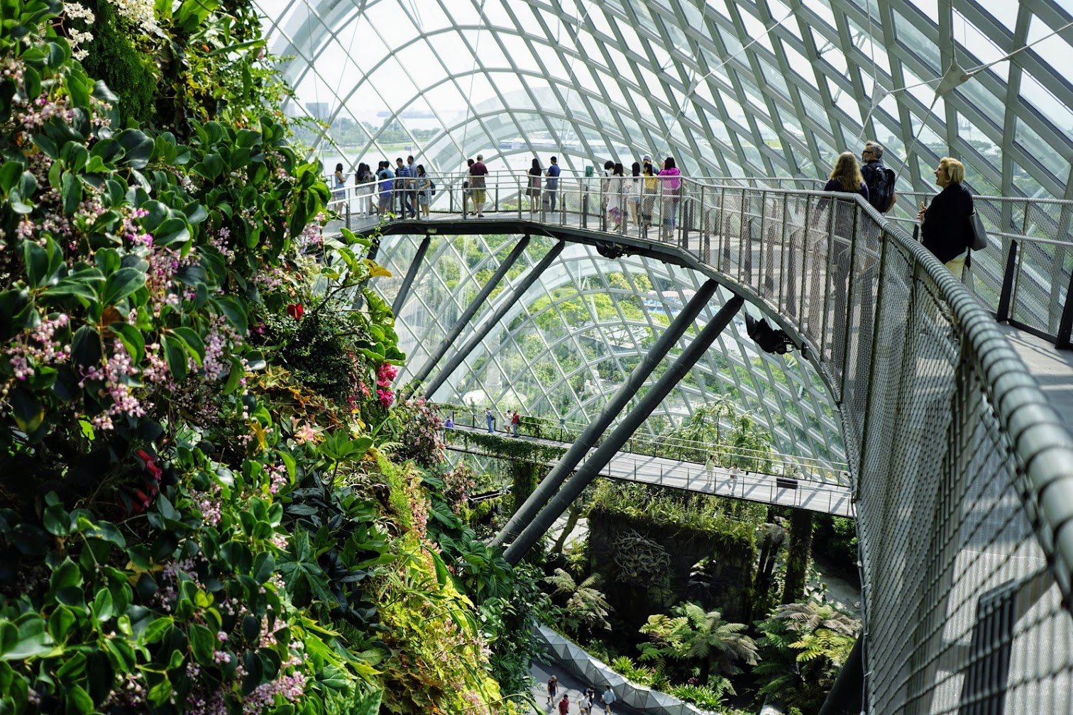 Gardens by the Bay, Singapore