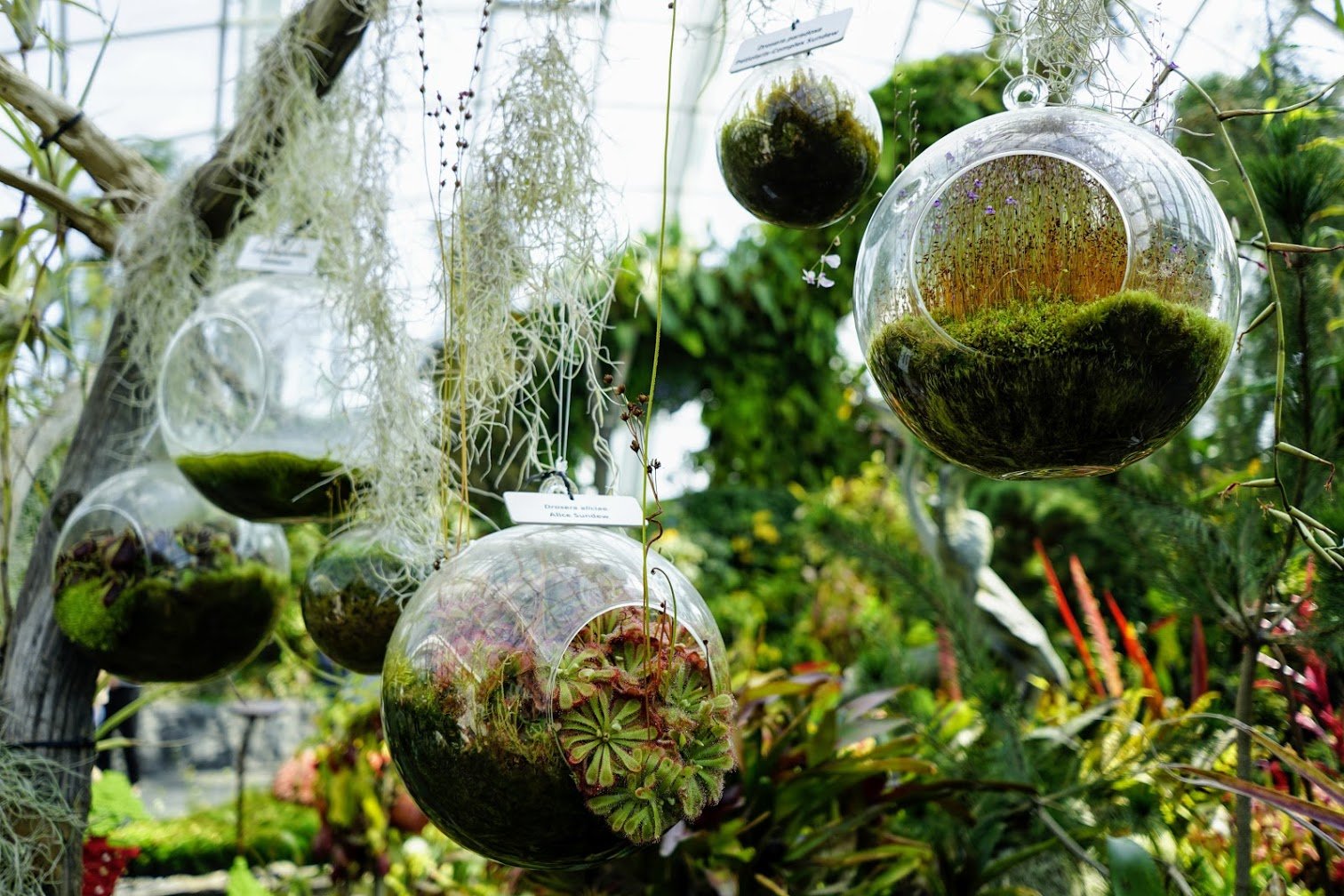 Gardens by the Bay, Singapore